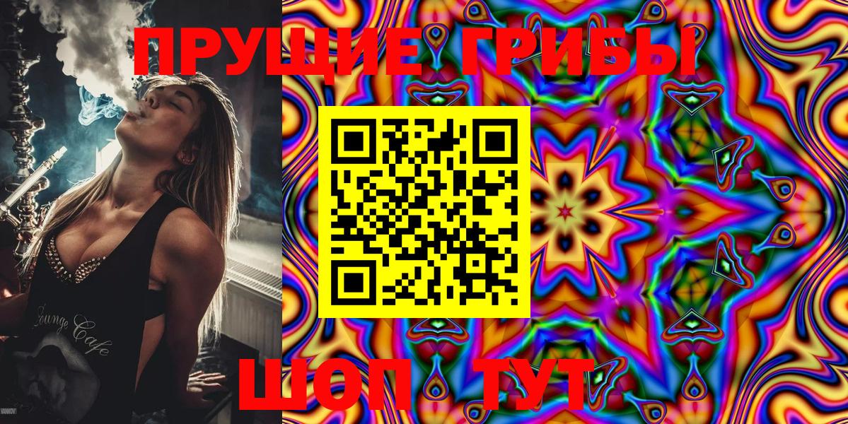 закладка  Вход с VPN  Полысаево  Псилоцибиновые грибы Psilocybe 