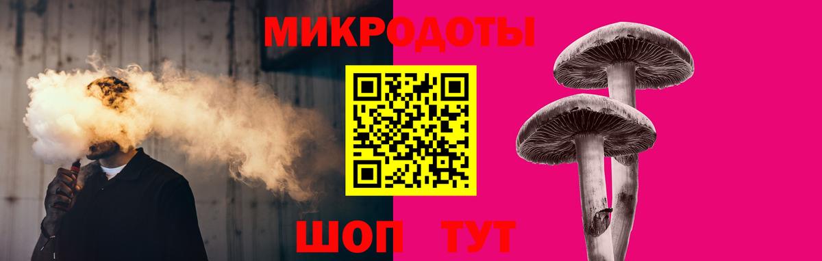 Галлюциногенные грибы Psilocybe Полысаево